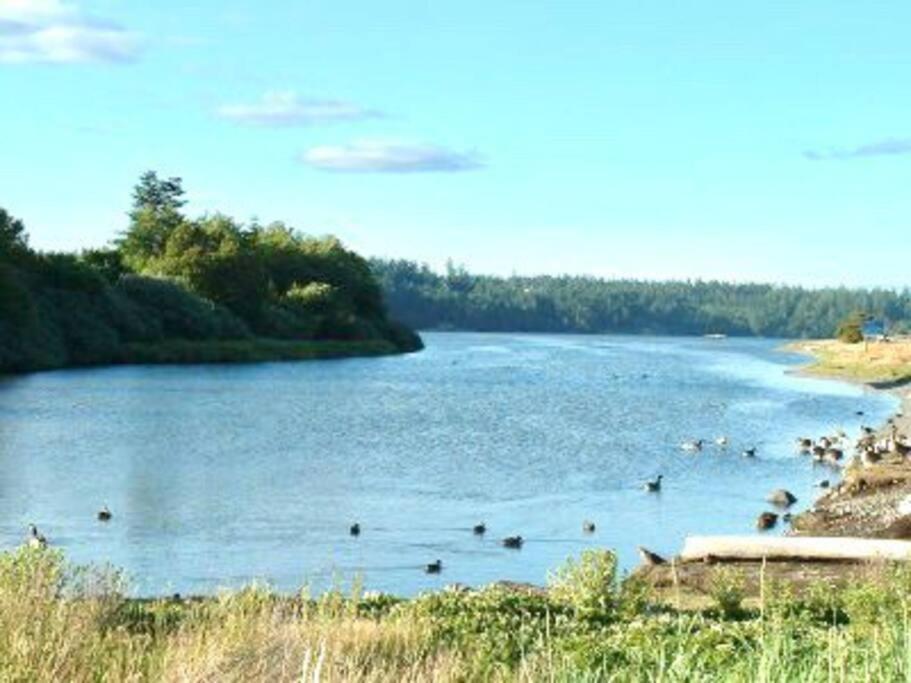Esquimalt Lagoon Life Apartment Виктория Екстериор снимка